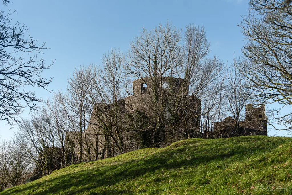 Image approaching Dinefwr castle