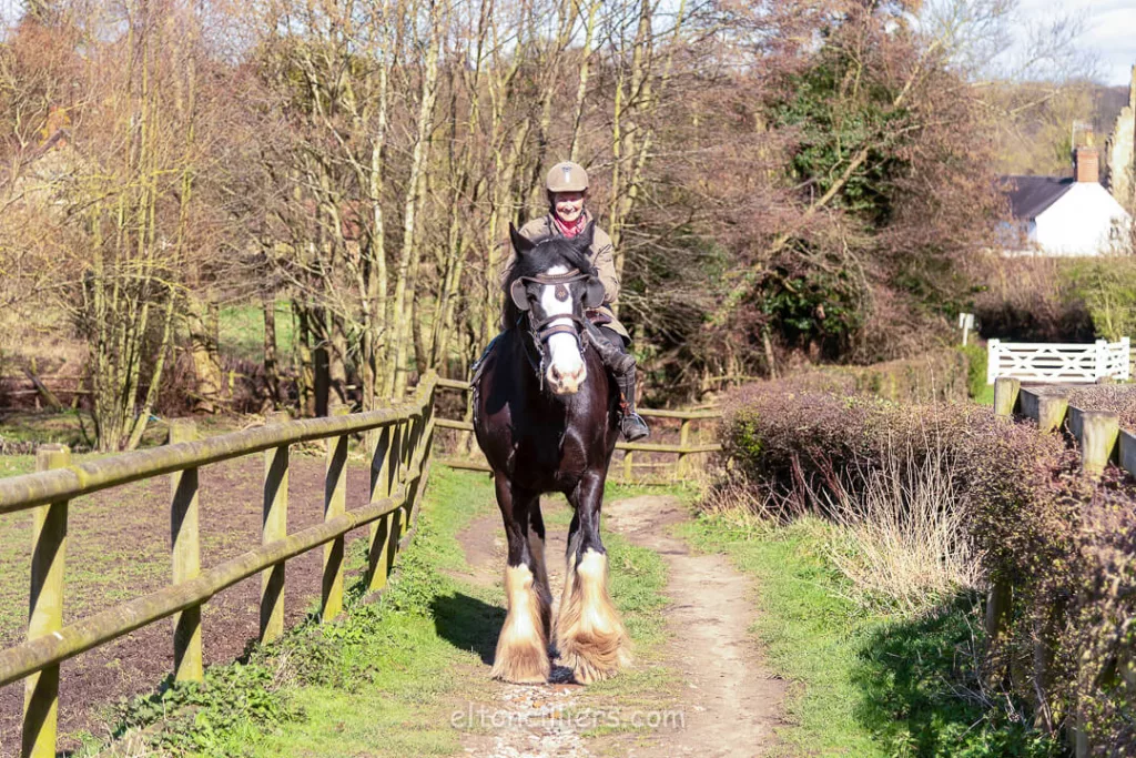 A lady ride a Shire horse through the village of Dale Abbey, Derbyshire
