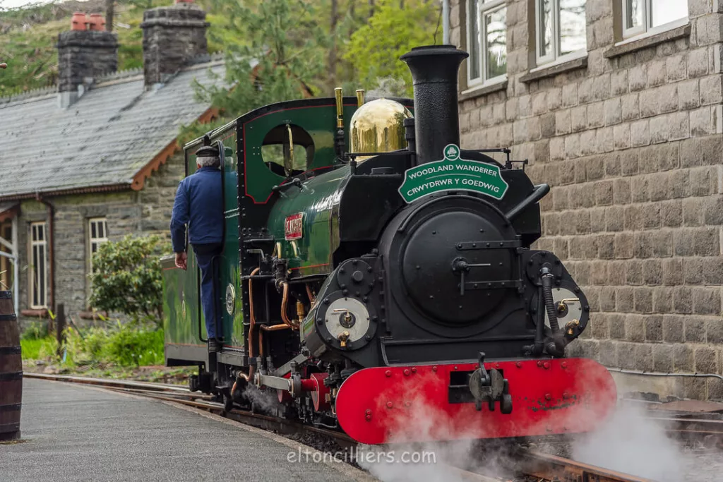 Earl Of Merioneth (II) locomotive