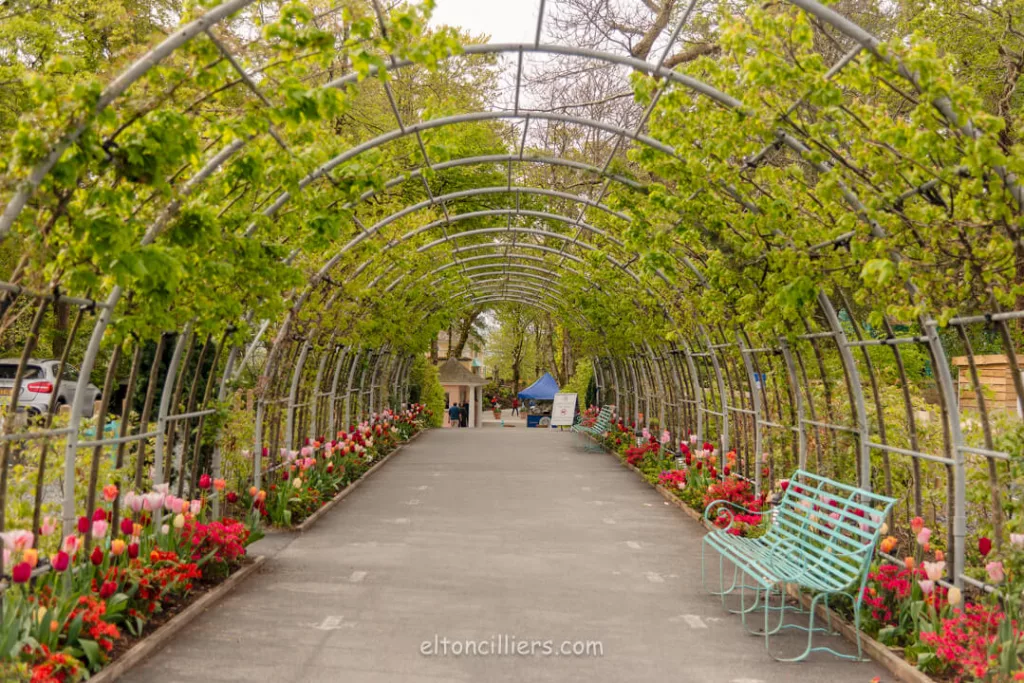 Main entrance into Portmeirion. A walkway with steel arches covered in flora